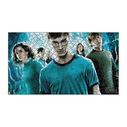 Rompecabezas Pers.Harry Potter  C:32.1 Puzzles Peru