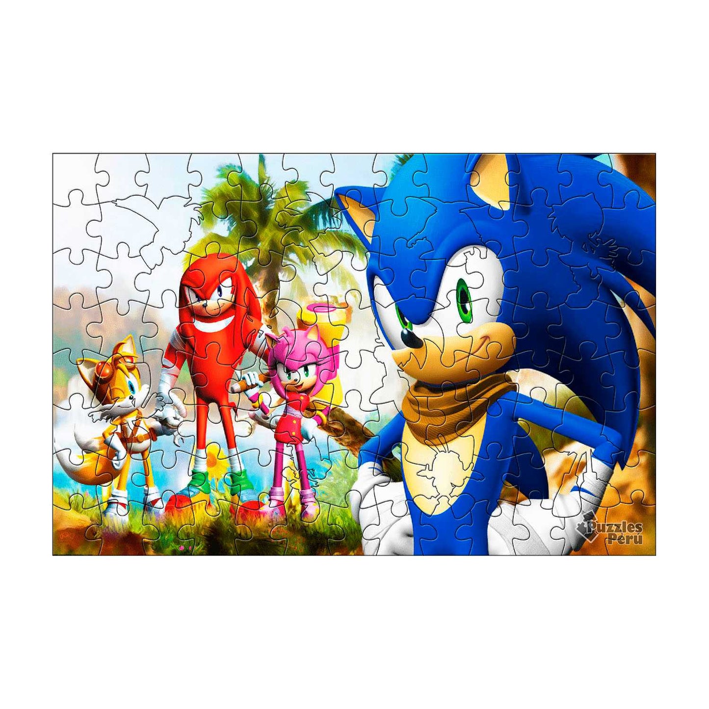 Rompecabezas Pers.Sonic100  C:61.2 Puzzles Peru