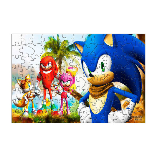 Rompecabezas Pers.Sonic100  C:61.2 Puzzles Peru