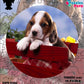 Rompecabezas Pers.Perritos  C:69.1 Puzzles Peru