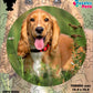 Rompecabezas Pers.Perritos  C:69.101 Puzzles Peru