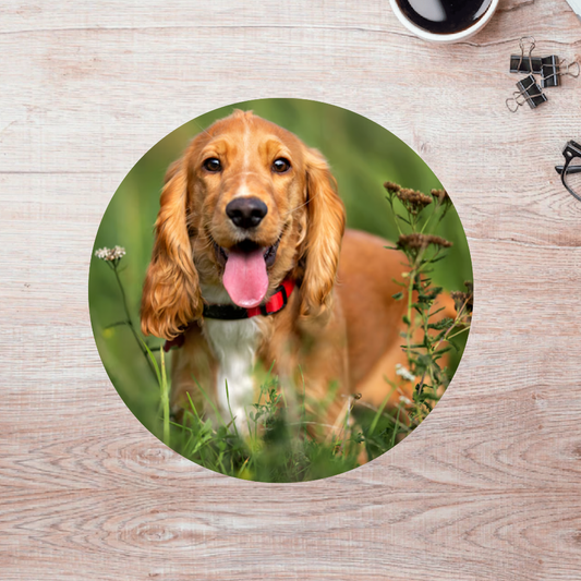 Rompecabezas Pers.Perritos  C:69.101 Puzzles Peru