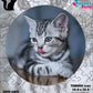 Rompecabezas Pers.Gatitos  C:69.11 Puzzles Peru