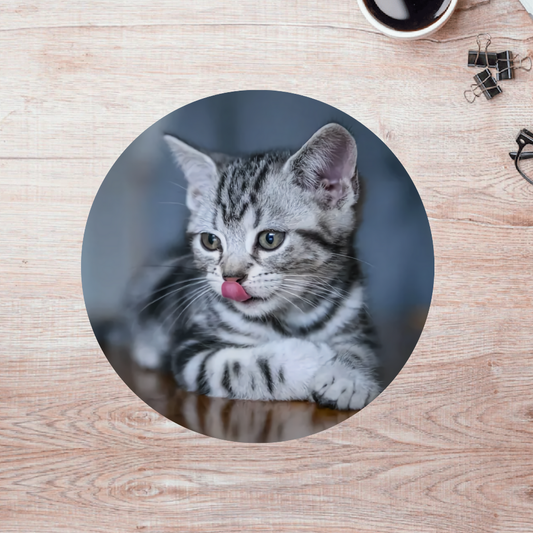 Rompecabezas Pers.Gatitos  C:69.11 Puzzles Peru