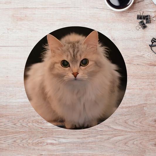 Rompecabezas Pers.Gatitos  C:69.12 Puzzles Peru