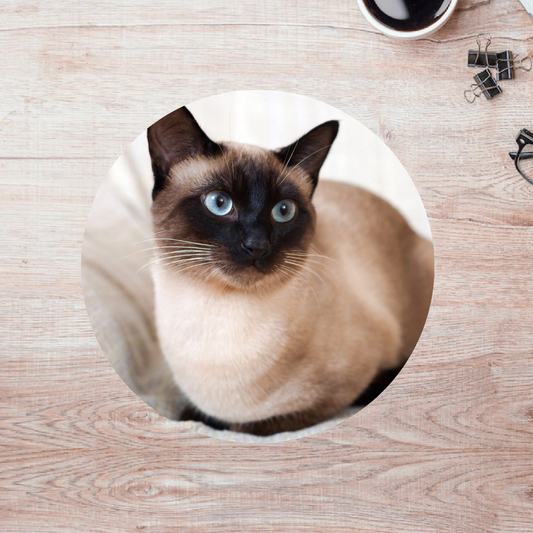 Rompecabezas Pers.Gatitos  C:69.13 Puzzles Peru