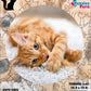 Rompecabezas Pers.Gatitos  C:69.14 Puzzles Peru