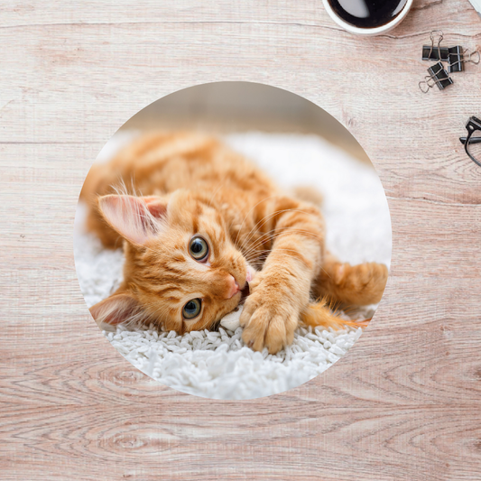 Rompecabezas Pers.Gatitos  C:69.14 Puzzles Peru