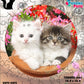 Rompecabezas Pers.Gatitos  C:69.15 Puzzles Peru