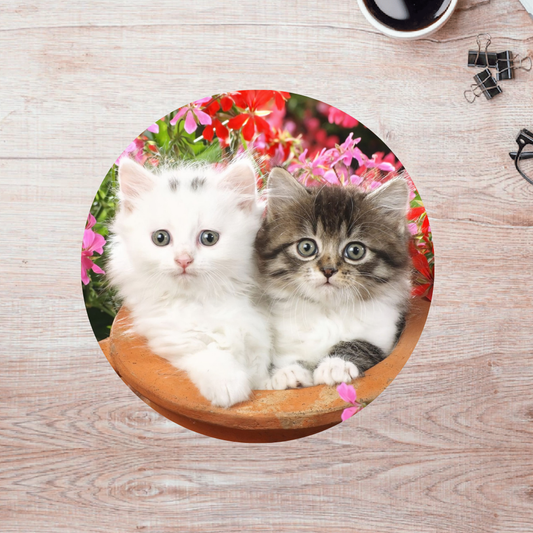 Rompecabezas Pers.Gatitos  C:69.15 Puzzles Peru