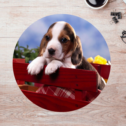 Rompecabezas Pers.Perritos  C:69.1 Puzzles Peru