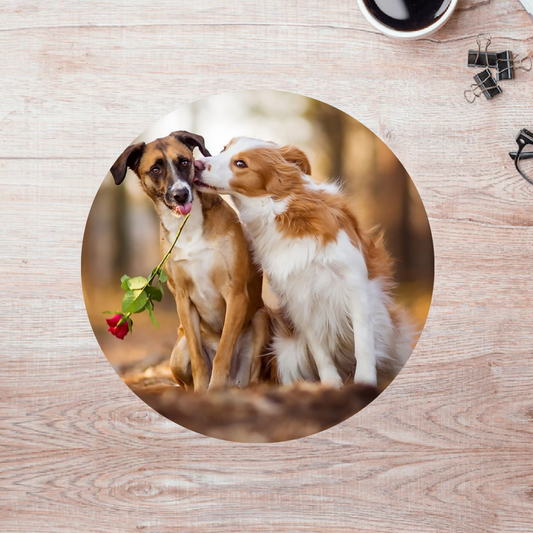 Rompecabezas Pers.Perritos  C:69.2 Puzzles Peru
