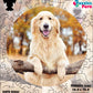 Rompecabezas Pers.Perritos  C:69.3 Puzzles Peru