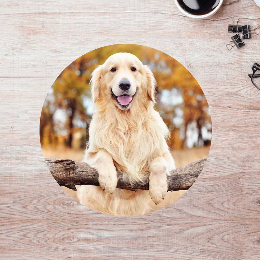 Rompecabezas Pers.Perritos  C:69.3 Puzzles Peru