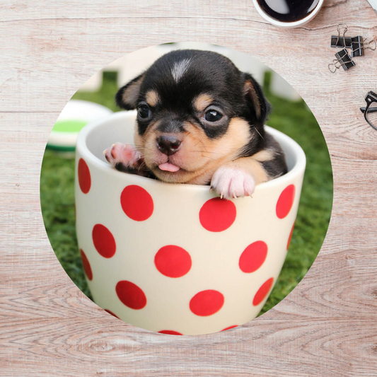 Rompecabezas Pers.Perritos  C:69.4 Puzzles Peru
