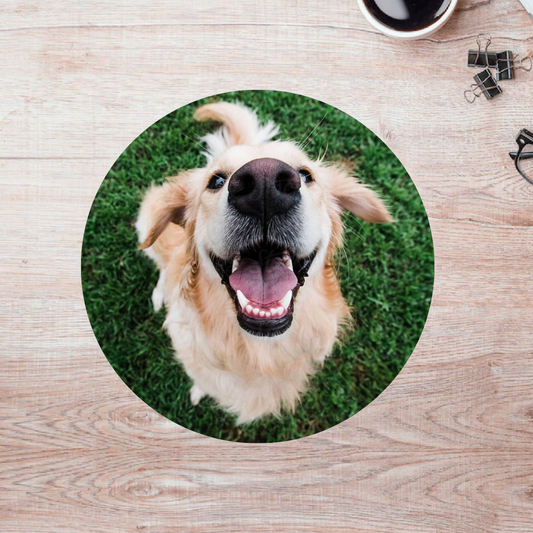 Rompecabezas Pers.Perritos  C:69.5 Puzzles Peru