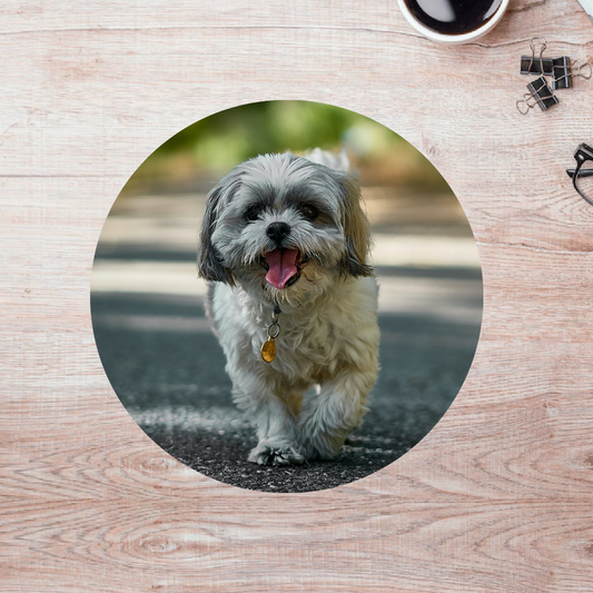 Rompecabezas Pers.Perritos  C:69.6 Puzzles Peru