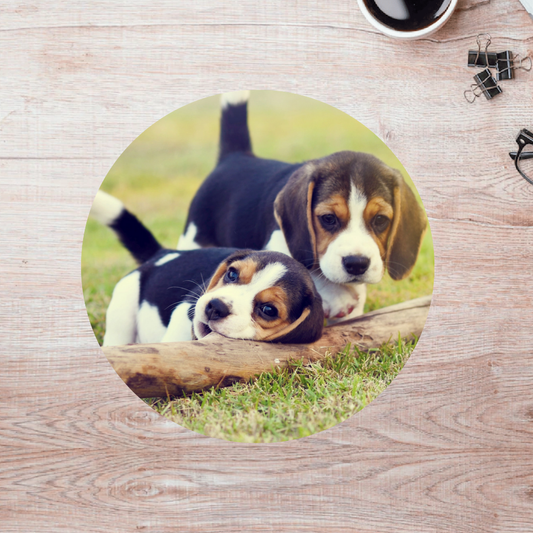 Rompecabezas Pers.Perritos  C:69.7 Puzzles Peru