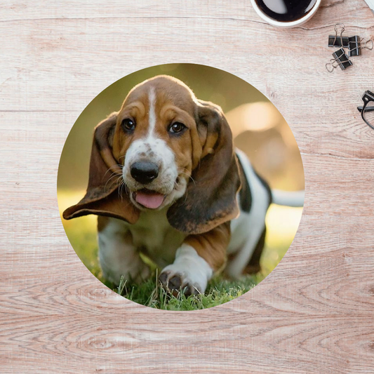 Rompecabezas Pers.Perritos  C:69.8 Puzzles Peru