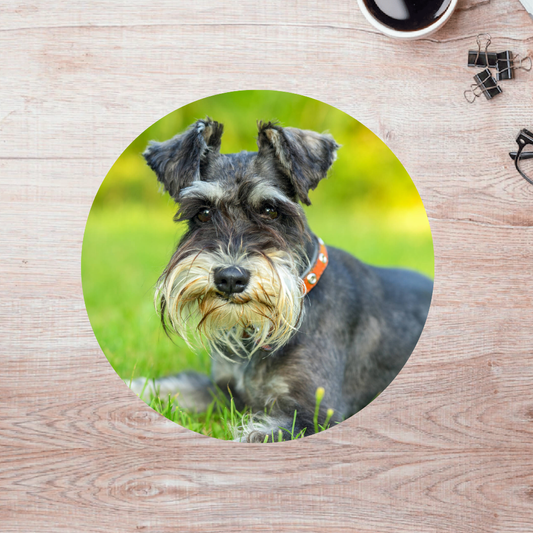 Rompecabezas Pers.Perritos  C:69.9 Puzzles Peru